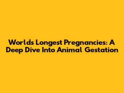 World's Longest Pregnancies: A Deep Dive Into Animal Gestation