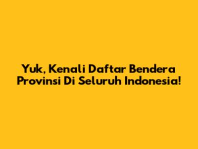 Yuk, Kenali Daftar Bendera Provinsi Di Seluruh Indonesia!